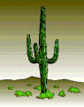 Avatar de Cactus Jack